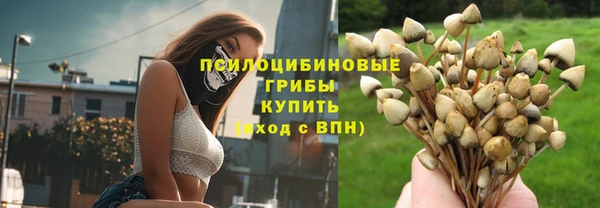 круглые Абаза
