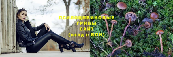гидропоника Алзамай