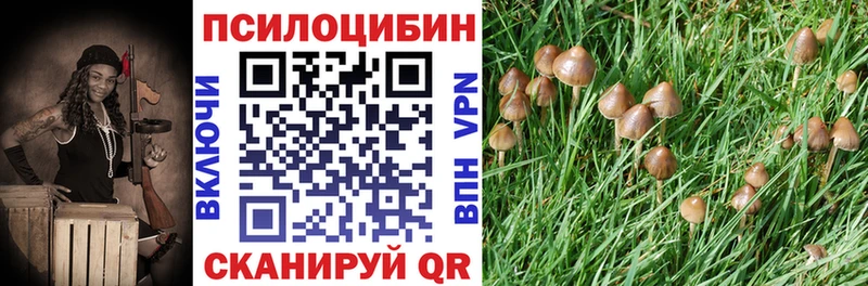 гидра ONION  купить наркотики сайты  Одинцово  Псилоцибиновые грибы мицелий 